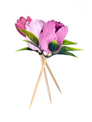 Similar image 22321935