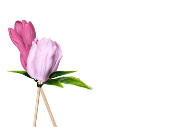 Similar image 22321936