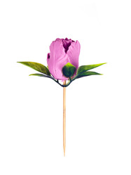 Similar image 22321937