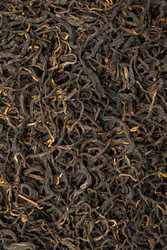 Similar image 22329830