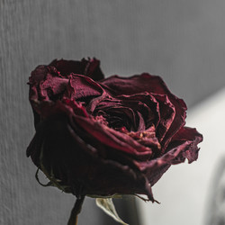 Similar image 22330304