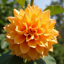 Similar image 22317717