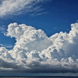 Similar image 22317737