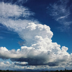 Similar image 22317744