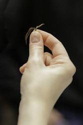 Similar image 22329420