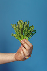 Similar image 22330308