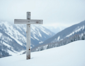 Similar image 22310268