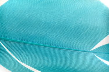 Similar image 22319473