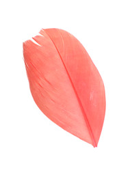 Similar image 22319474