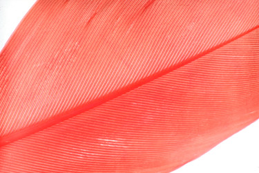 Similar image 22319475