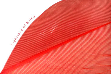 Similar image 22319476