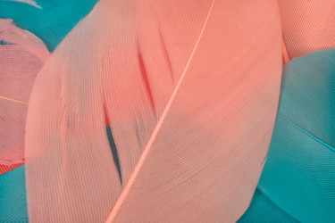 Similar image 22319478