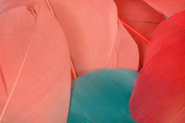 Similar image 22321966