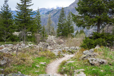 Similar image 22298081