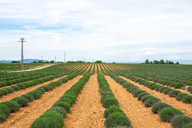 Similar image 22298166