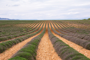 Similar image 22298167