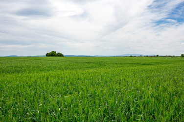 Similar image 22298168