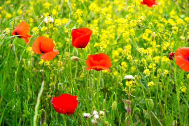 Similar image 22298261