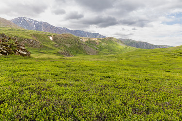 Similar image 22298291