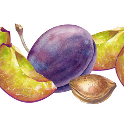 Similar image 22332738