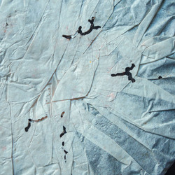 Similar image 22328533