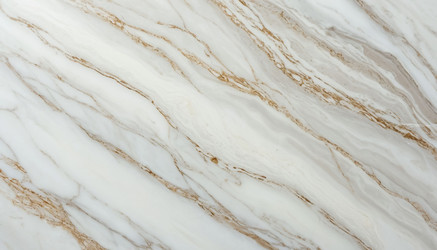 Similar image 22300726