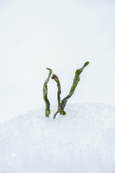 Similar image 22296724