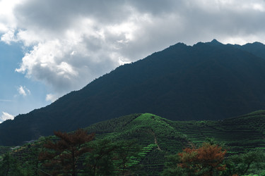 Similar image 22316123