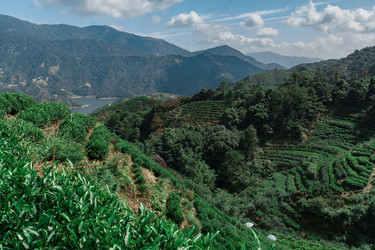 Similar image 22316124