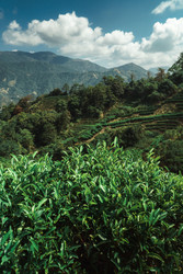 Similar image 22316127