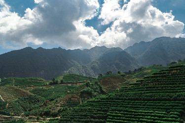 Similar image 22325920