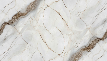 Similar image 22300544