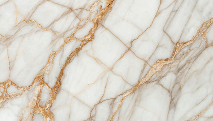 Similar image 22300545