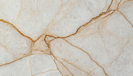 Similar image 22300548