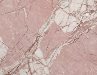 Similar image 22310304