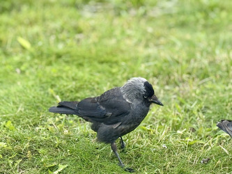 Similar image 22292078