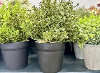 Similar image 22292079