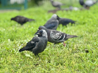 Similar image 22292083