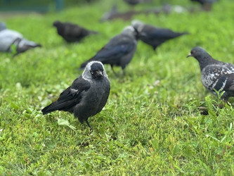 Similar image 22292084