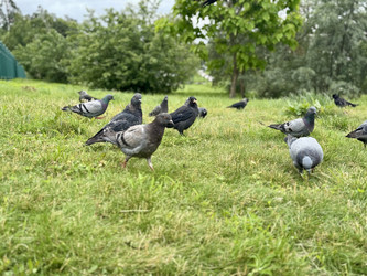 Similar image 22292085