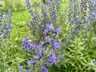 Similar image 22292087