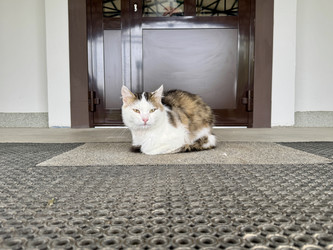 Similar image 22292088