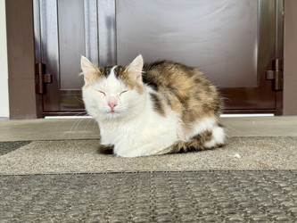 Similar image 22292089