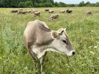 Similar image 22292091