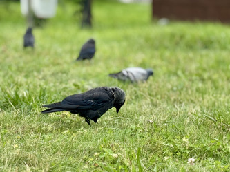 Similar image 22292099