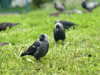 Similar image 22292100