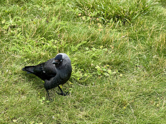 Similar image 22292101