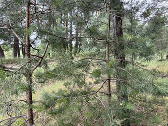 Similar image 22292102