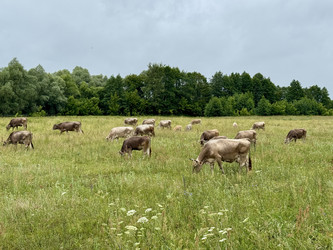 Similar image 22292104