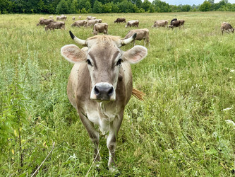 Similar image 22292105